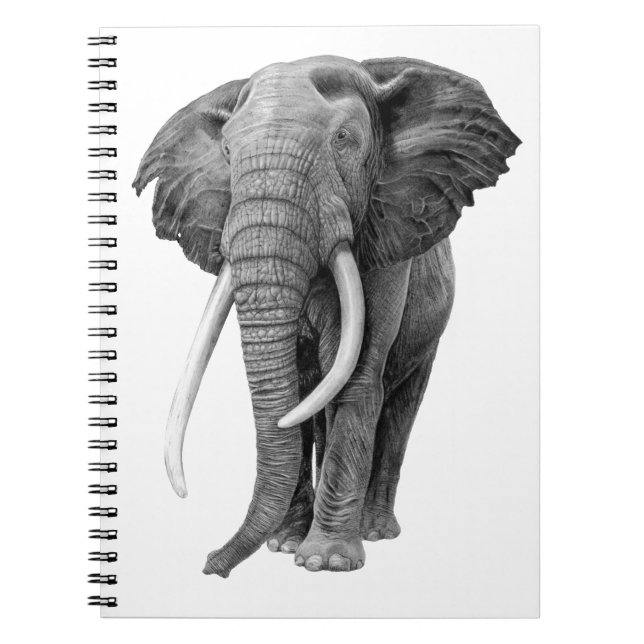 Bull elephant - Drawing in pencil Notebook (Front)