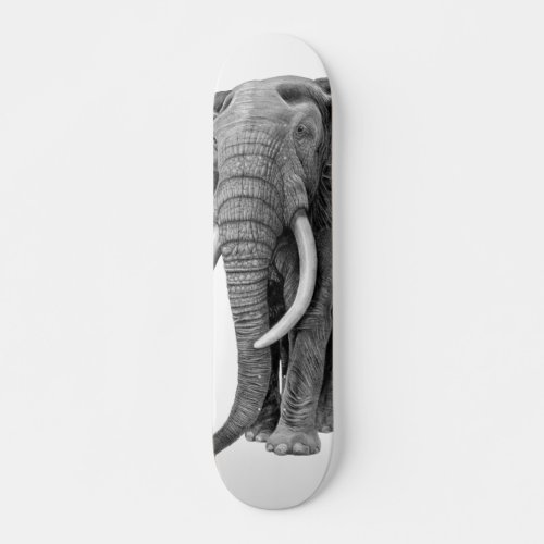 Bull elephant _ Drawing in pencil Skateboard