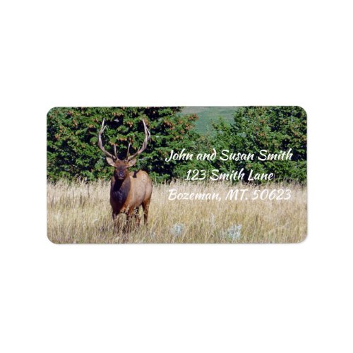 Bull Elk Address Label