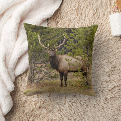 Bull Elk  At Yellowstone National Park Throw Pillow