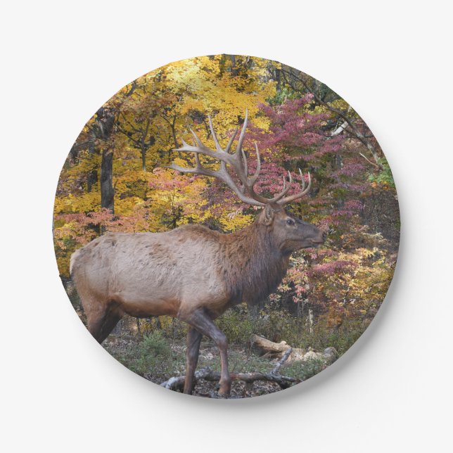 Bull Elk Autumn Woods Paper Plates (Front)