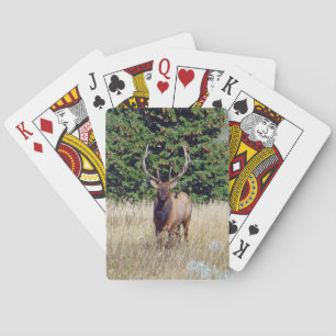 Bull Elk Bicycle Playing Cards