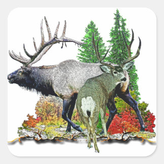 Bull elk  buck deer square sticker