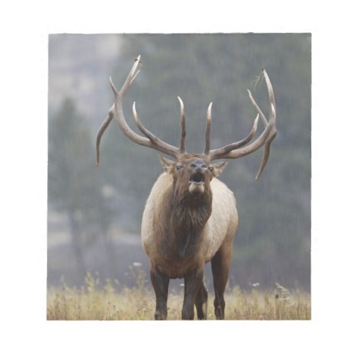 Bull Elk bugling Yellowstone NP Wyoming 2 Notepad