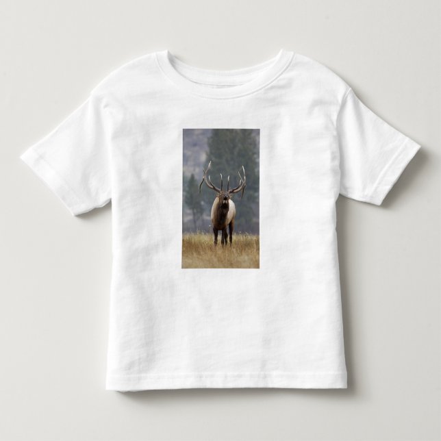 Bull Elk bugling, Yellowstone NP, Wyoming 2 Toddler T-shirt (Front)