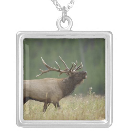 Bull Elk bugling Yellowstone NP Wyoming Silver Plated Necklace