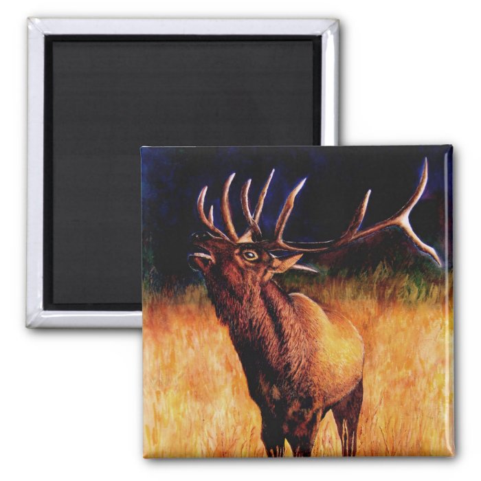 Bull Elk Call Of The Wild, Magnet