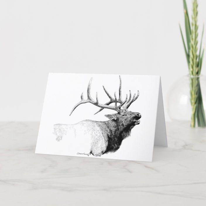 Bull Elk Card