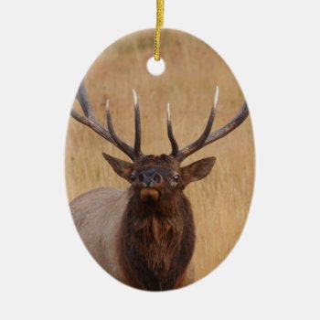 Bull Elk Ceramic Ornament by WorldDesign at Zazzle