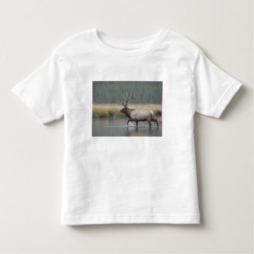 Bull Elk crossing river in snowstorm Toddler T_shirt