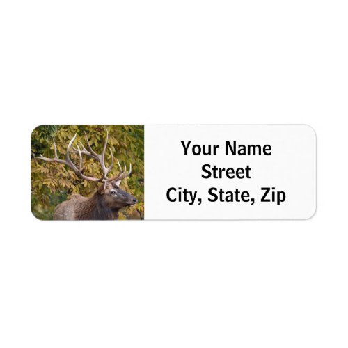 Bull Elk During The Rut Return Address Label