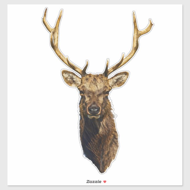 Bull Elk Head animal nature wildlife art    Sticker (Sheet)
