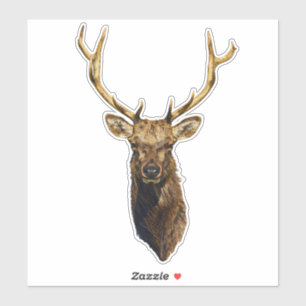 Bull Elk Head animal nature wildlife art Sticker