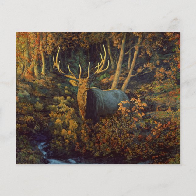 Bull Elk in Autumn Forest (Front)