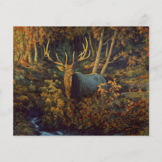Bull Elk in Autumn Forest