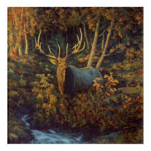 Bull Elk in Autumn Forest Acrylic Print