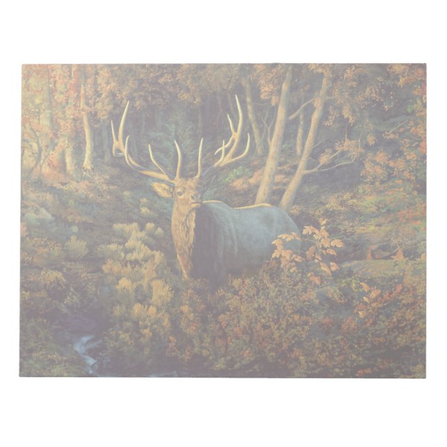 Bull Elk in Autumn Forest Notepad (Front)