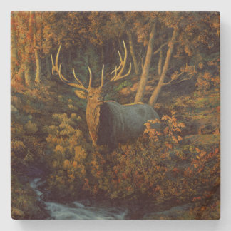 Bull Elk in Autumn Forest Stone Coaster