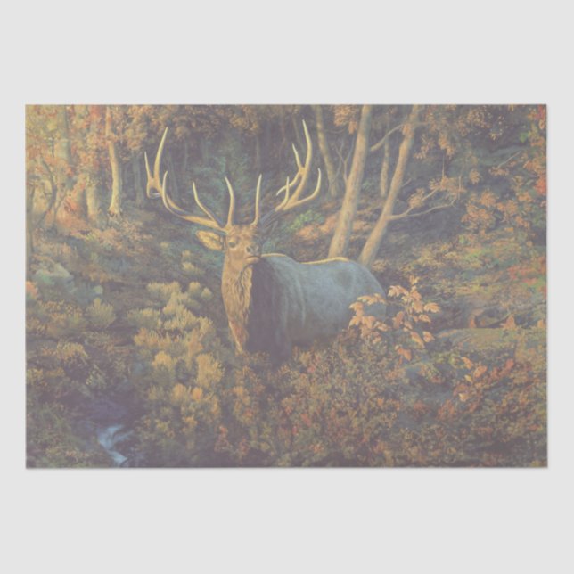 Bull Elk in Autumn Forest Tissue Paper (Front)