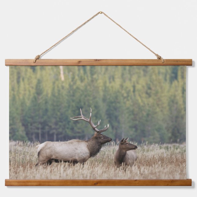 Bull Elk in Meadow | Yellowstone National Park Hanging Tapestry (Front)