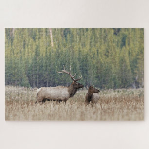Bull Elk in Meadow   Yellowstone National Park Jigsaw Puzzle