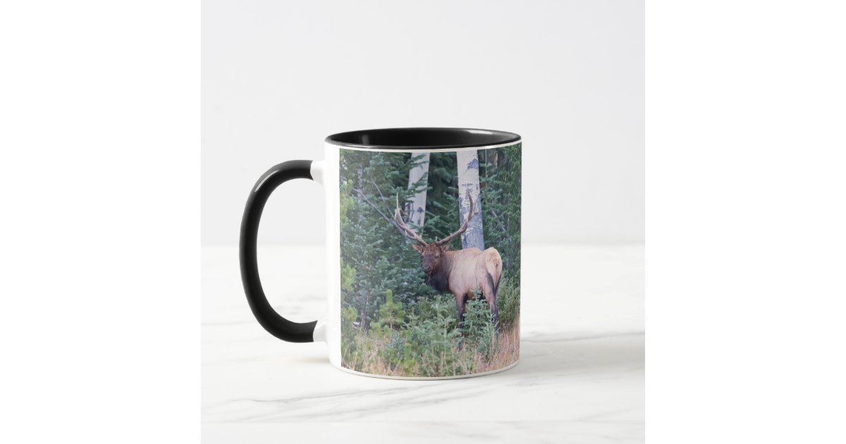 https://rlv.zcache.com/bull_elk_in_mountains_of_colorado_mug-r6685b9dff6a541a1842ff9ec875a935e_kfpvn_630.jpg?rlvnet=1&view_padding=%5B285%2C0%2C285%2C0%5D