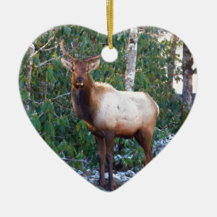 Bull Elk in Rhododendrons Ceramic Ornament