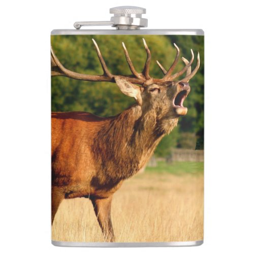 Bull elk in rut hip flask