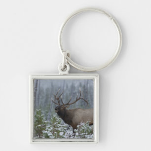 Bull Elk in snow calling, bugling, Yellowstone Keychain