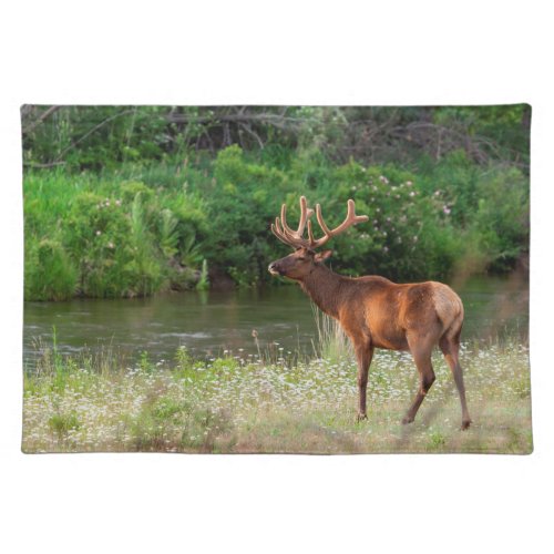 Bull Elk in the National Bison Range Montana Cloth Placemat