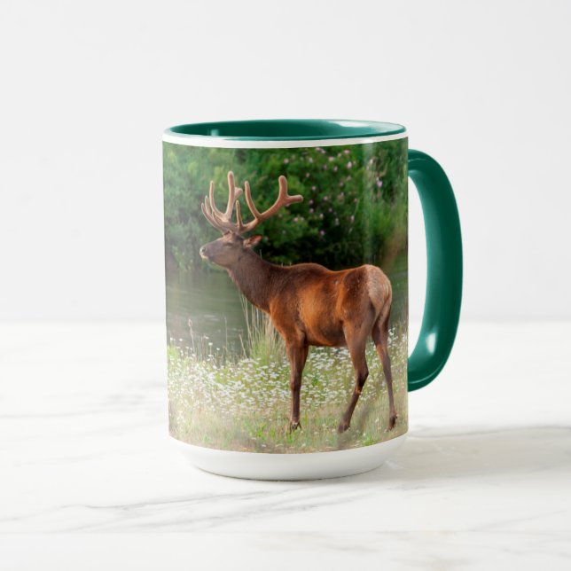 Bull Elk in the National Bison Range, Montana Mug (Front Right)