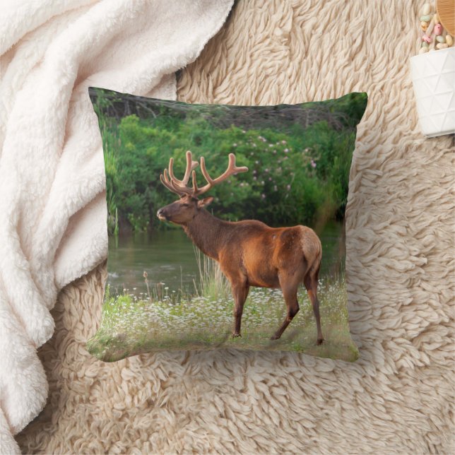 Bull Elk in the National Bison Range, Montana Throw Pillow (Blanket)