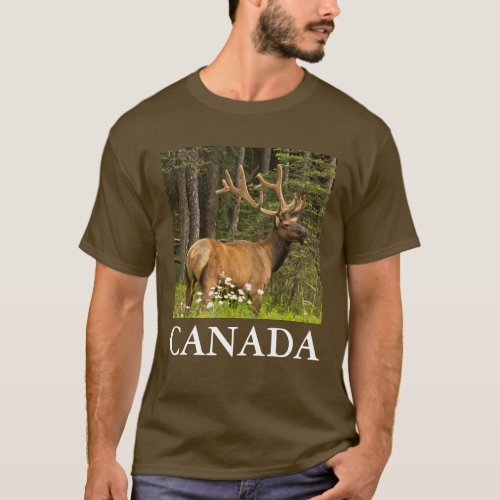Bull elk in velvet Canada T_Shirt