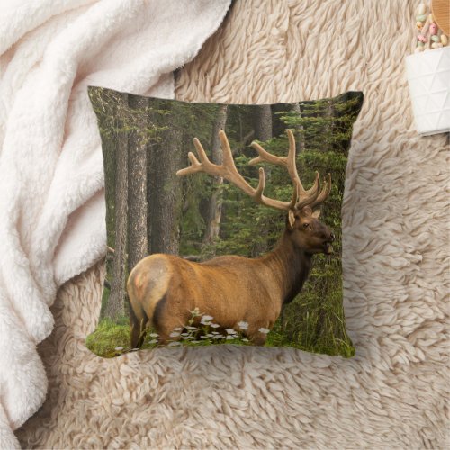 Bull Elk in Velvet Canada Throw Pillow