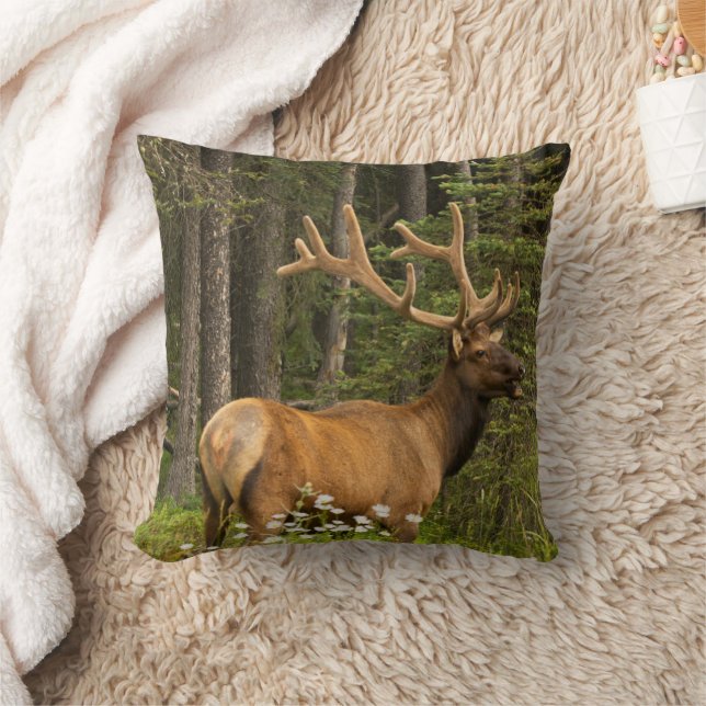 Bull Elk in Velvet, Canada Throw Pillow (Blanket)