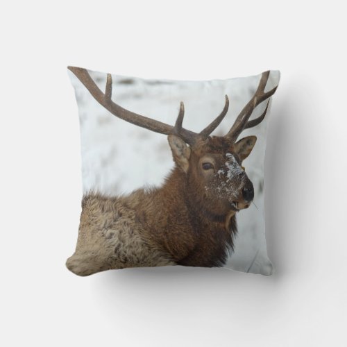 Bull elk in winter in Yellowstone National Throw Pillow