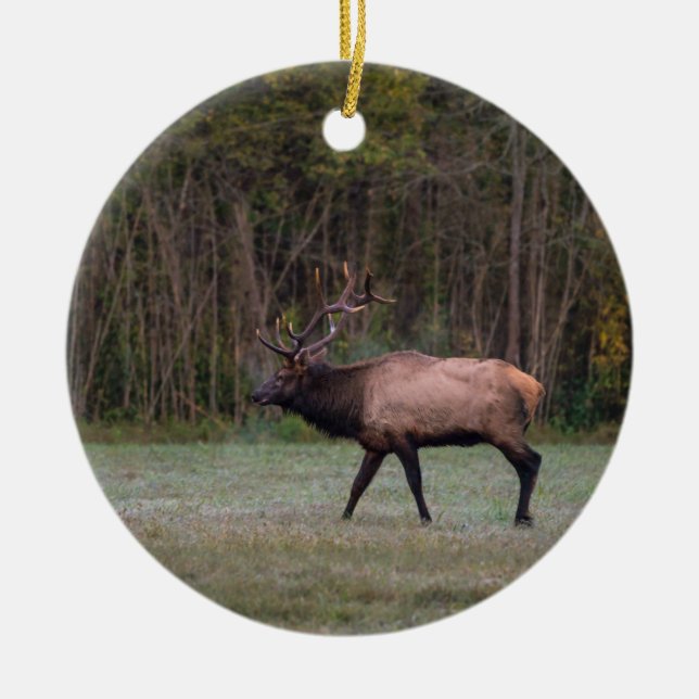 Bull Elk Morning Walk Ceramic Ornament (Front)