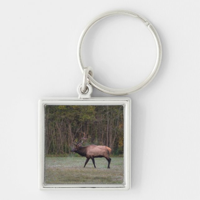 Bull Elk Morning Walk Keychain (Front)