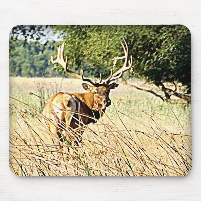 Bull Elk Mouse Pad (Front)