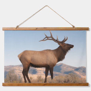 Bull Elk Near Mammoth Wyoming Hanging Tapestry
