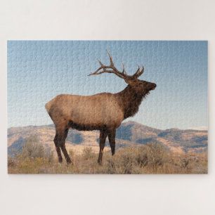 Bull Elk Near Mammoth Wyoming Jigsaw Puzzle