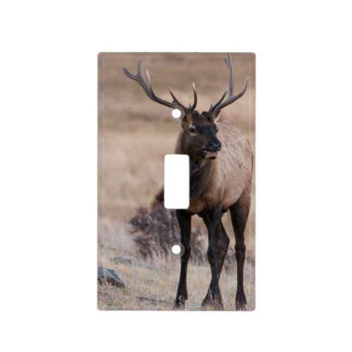 Bull Elk or Wapiti Light Switch Cover