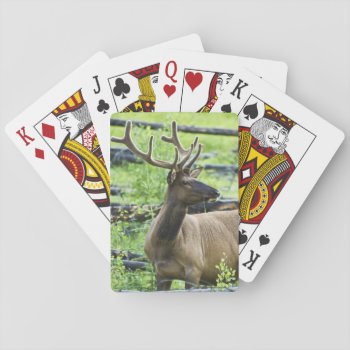 Bull Elk Playing Cards by Lasting__Impressions at Zazzle