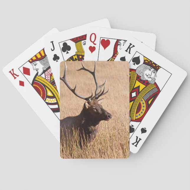 Bull Elk Poker Cards (Back)