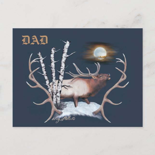 Bull Elk Postcard (Front)