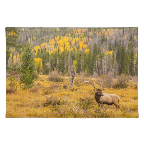 Bull Elk  Rocky Mountain National Park Colorado Cloth Placemat