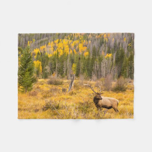 Bull Elk  Rocky Mountain National Park Colorado Fleece Blanket