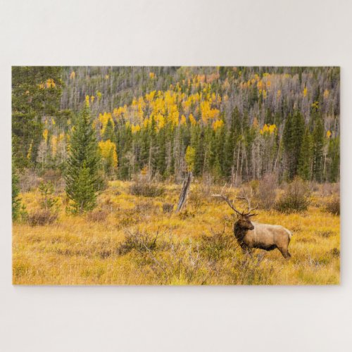 Bull Elk  Rocky Mountain National Park Colorado Jigsaw Puzzle