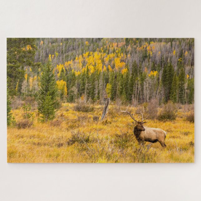 Bull Elk | Rocky Mountain National Park Colorado Jigsaw Puzzle (Horizontal)