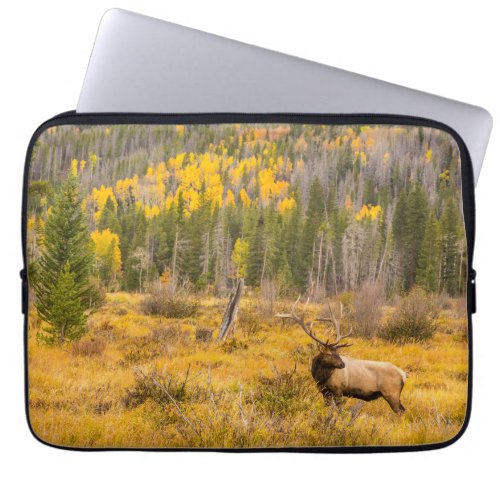 Bull Elk  Rocky Mountain National Park Colorado Laptop Sleeve